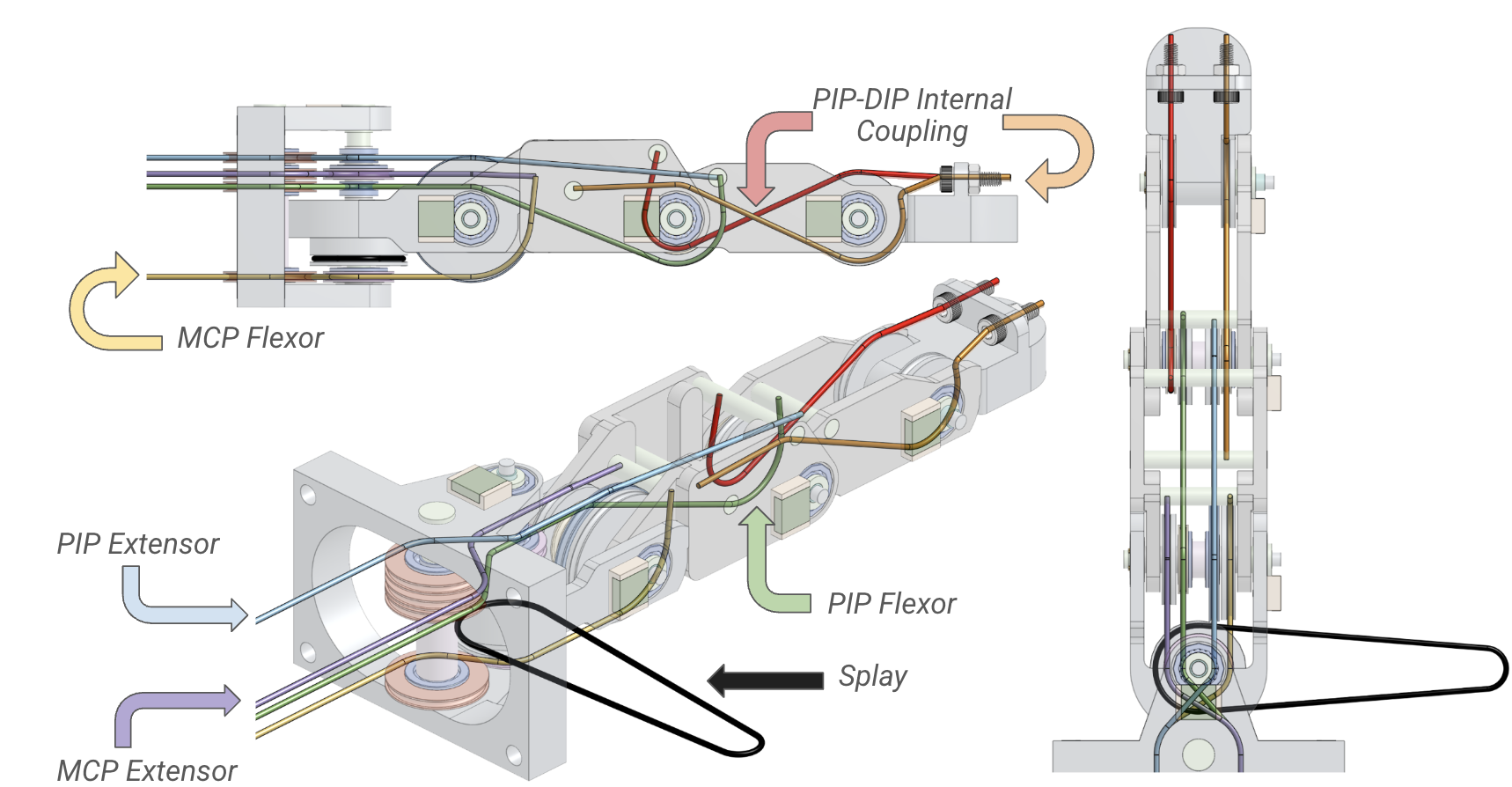 Tendon Routing